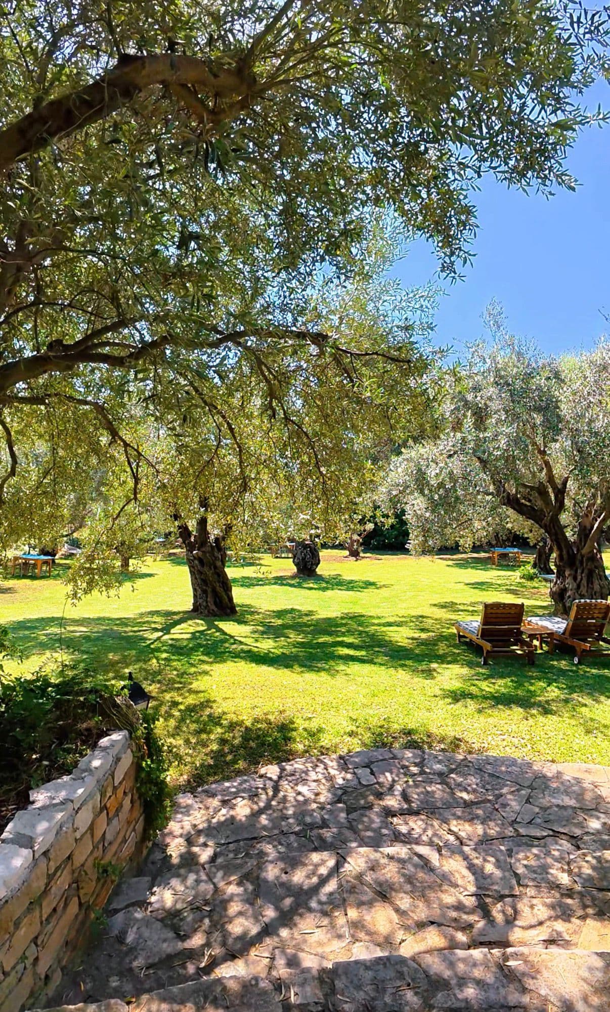 Emel Pension - Güzelçamlı, Kuşadası - 3
